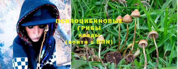 твердый Вязники