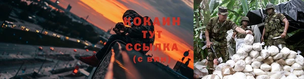 трава Вяземский