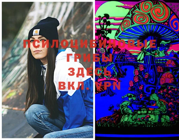 твердый Вязники