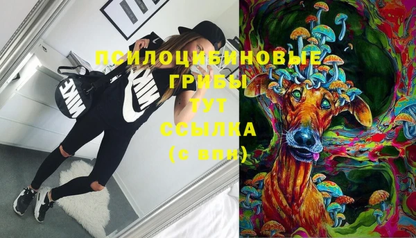 спайс Вязьма